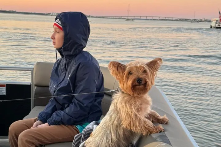 Person in a hoodie and small dog on a boat at sunset.