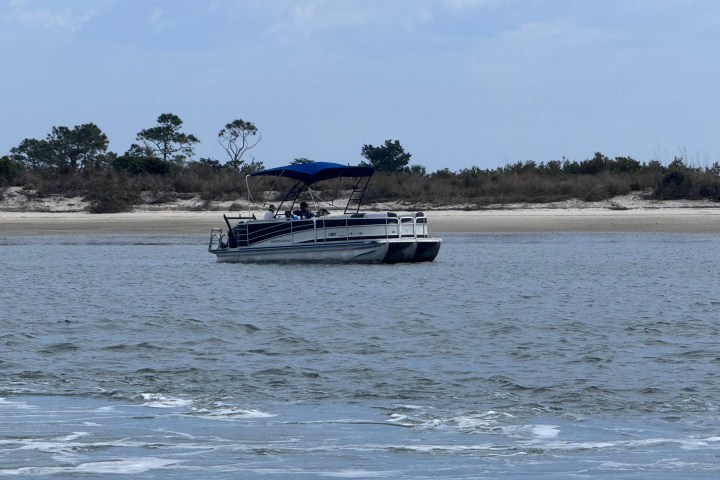 Pontoon boat with blue canopy on water near sandy shore and trees.
